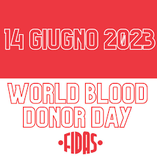 Immagine anteprima