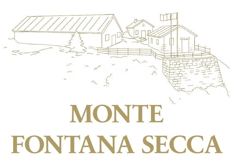 Immagine anteprima