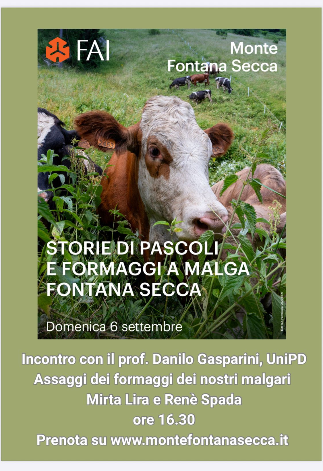 Immagine anteprima